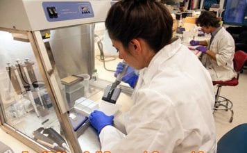 Stem Cell Research Pros and Cons