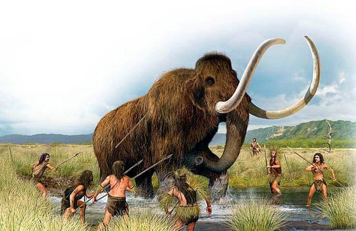 Woolly Mammoth Woolly Mammoth