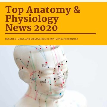 Anatomy News 2020