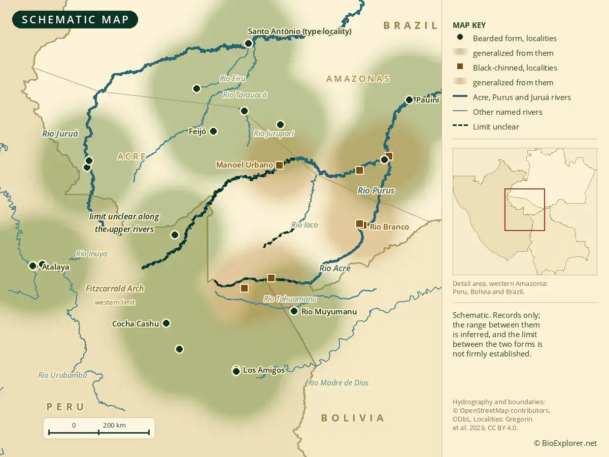 Bearded Emperor Tamarin Range Map showing documented localities of the bearded emperor tamarin and the black-chinned emperor tamarin either side of the Acre and Purus rivers