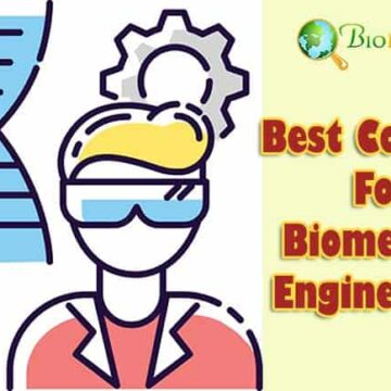 Best Colleges For Biomedical Engineering