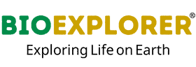 bioexplorer logo