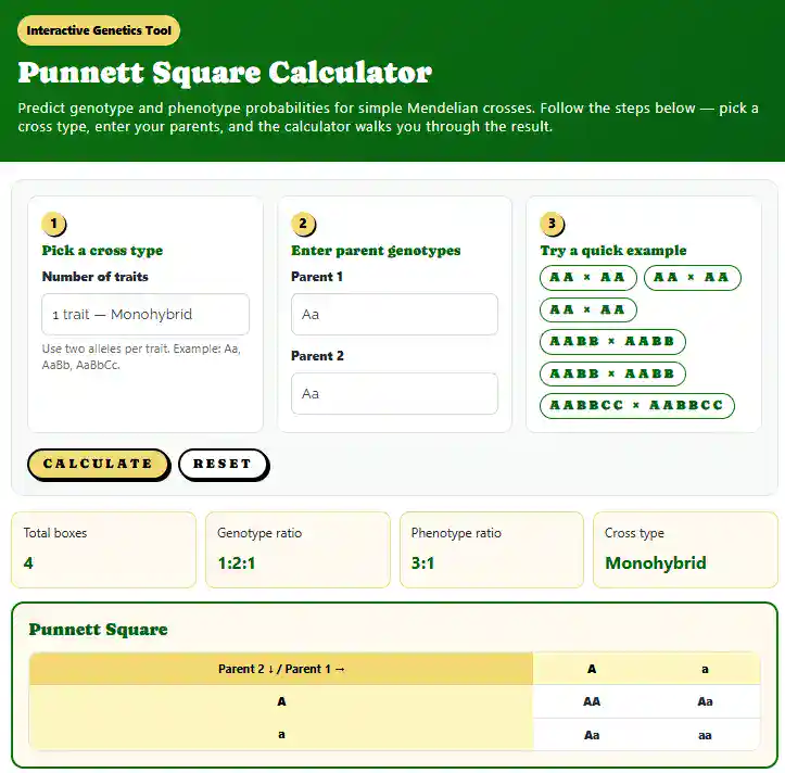 Biology Calculators and Tools (Showcasing the Punnett Square Calculator)