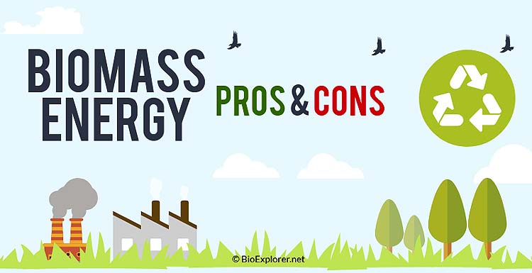 biomass energy pros and cons