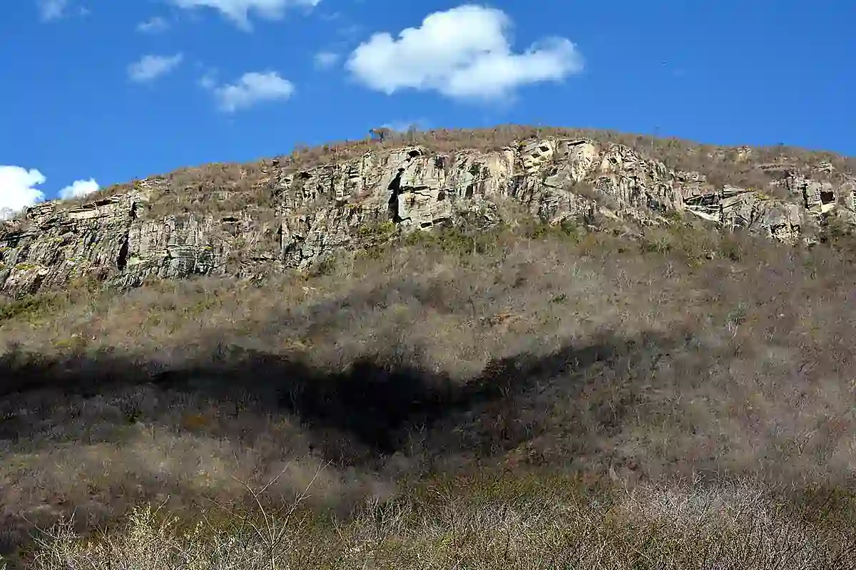 Dry Caatinga hillside with bare gray shrubs below a rocky cliff and blue sky