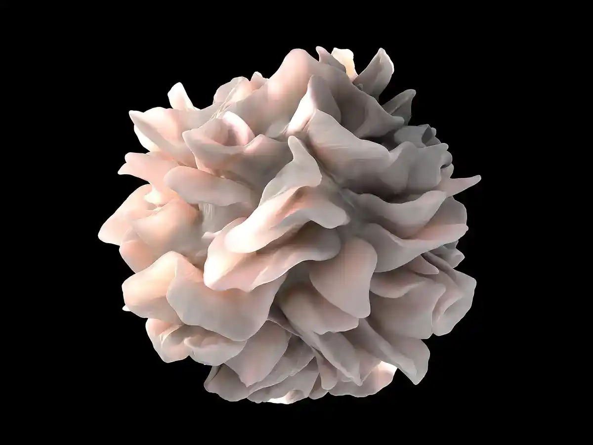 Artistic rendering of a dendritic cell surface from an electron microscopy scan, showing immune system cells studied in nanomedicine cancer research