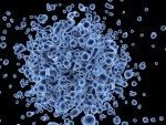 cell biology