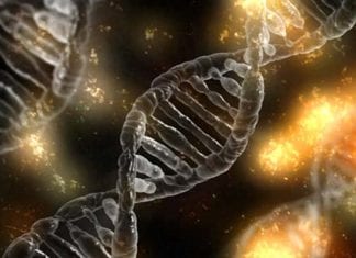 Errors In Meiosis: The Science Behind Nondisjunction
