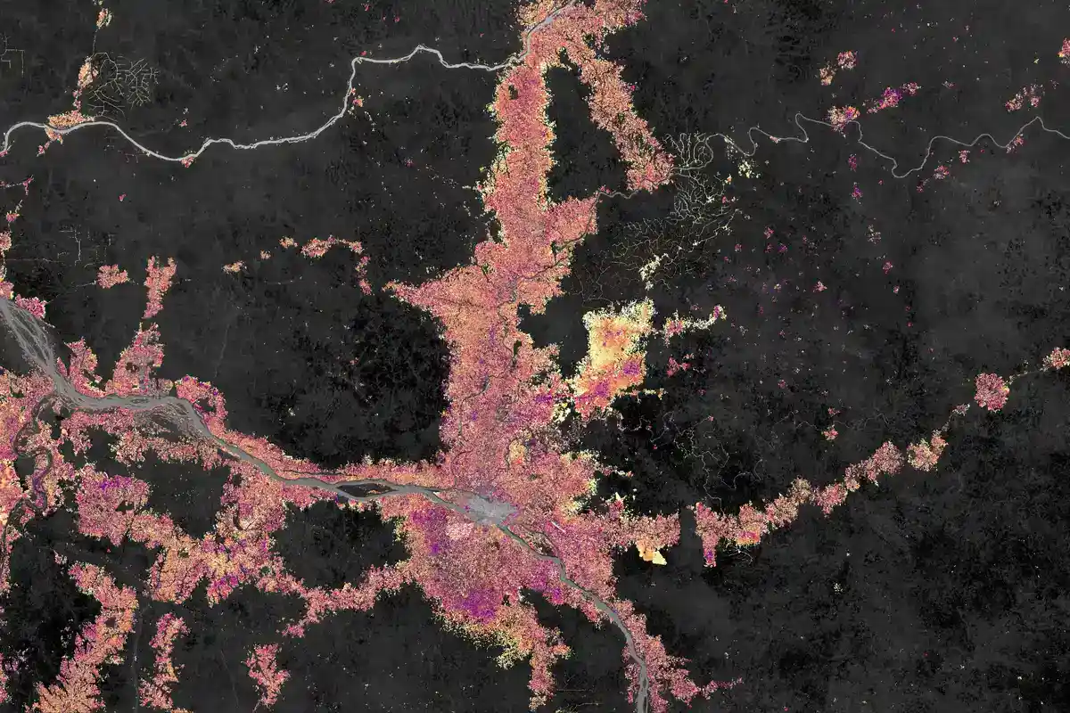 Landsat view of forest loss around Kisangani, Democratic Republic of Congo False-colour satellite image of forest loss around Kisangani in the Congo Basin