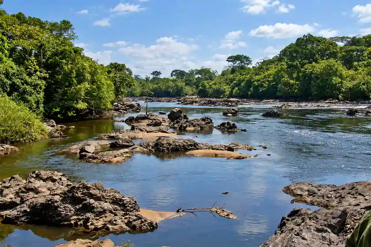The rocky Epulu River flowing through tropical rainforest in the Okapi Fauna Reserve, Democratic Republic of the Congo