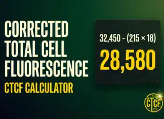 Corrected Total Cell Fluorescence (CTCF) Calculator