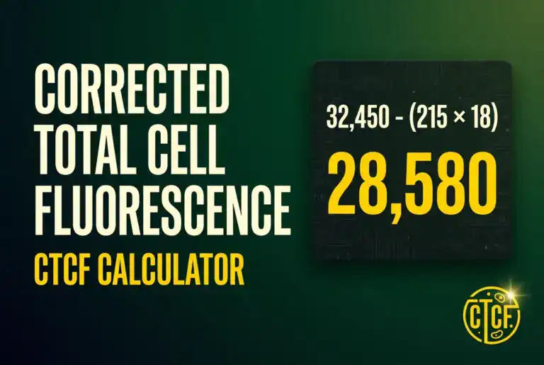 Corrected Total Cell Fluorescence (CTCF) Calculator