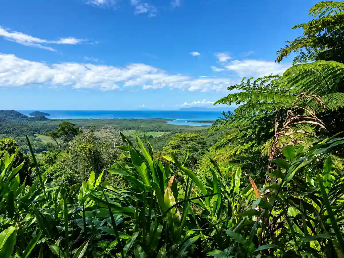 View from Daintree National Park over tropical rainforest to the coast and ocean in far north Queensland