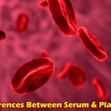 Differences between Serum and Plasma