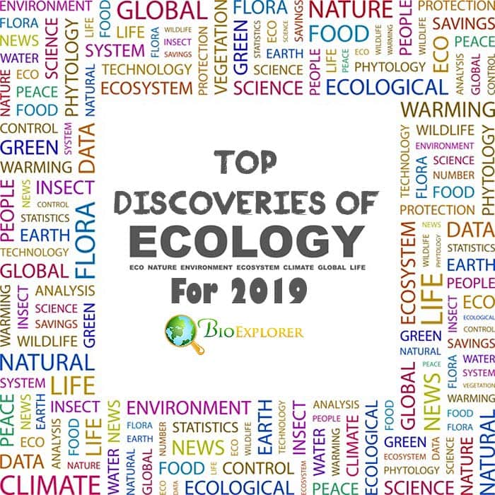 Discoveries in Ecology 2019