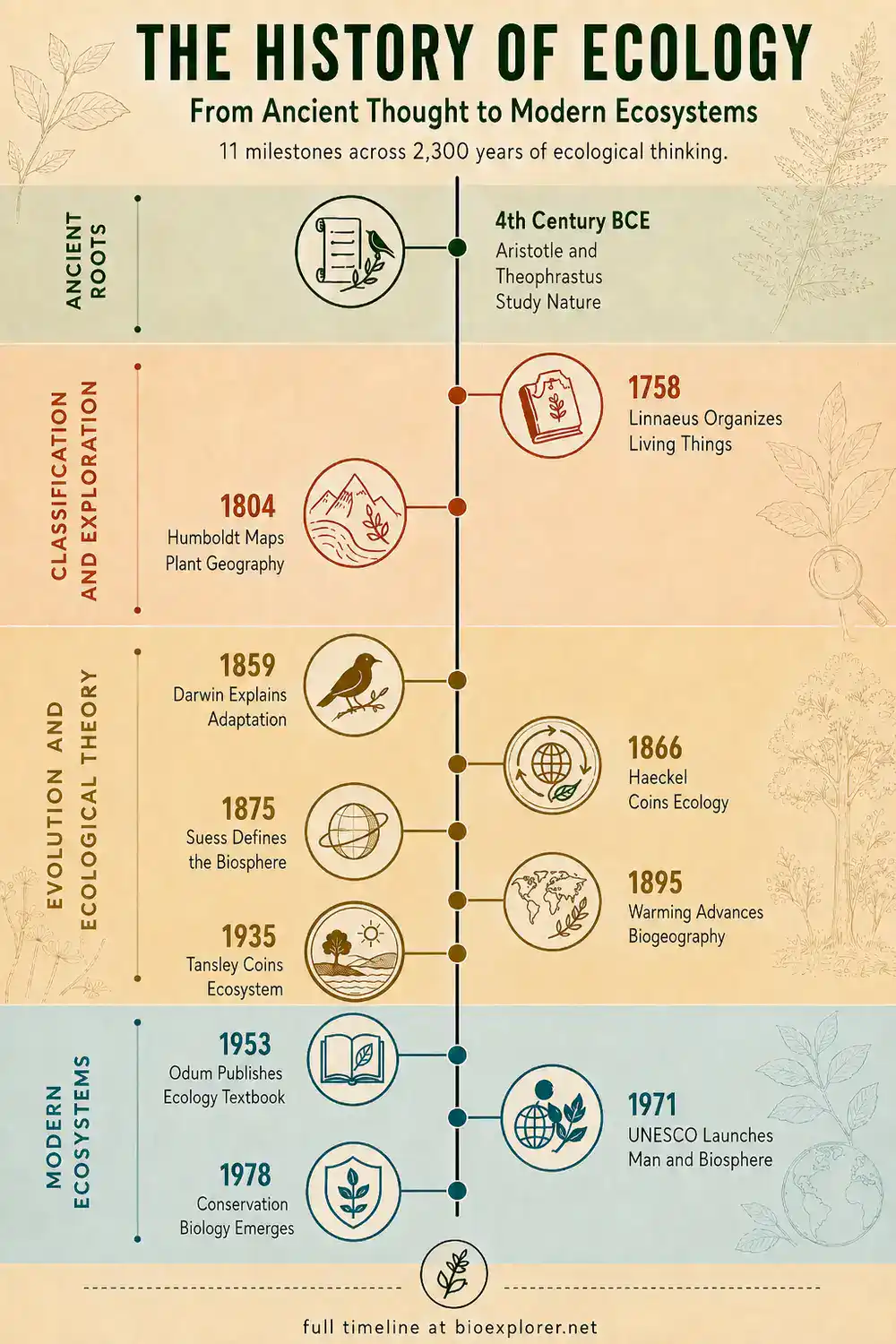 History of Ecology timeline infographic showing 11 milestones from Aristotle and Theophrastus in the 4th century BCE to conservation biology in 1978, including Linnaeus, Humboldt, Darwin, Haeckel, Suess, Warming, Tansley, Odum, and UNESCO's Man and the Biosphere program.