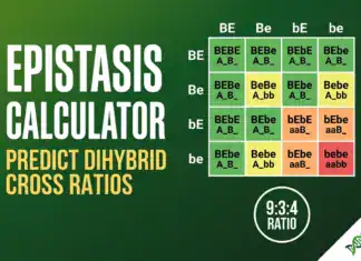 Epistasis Calculator