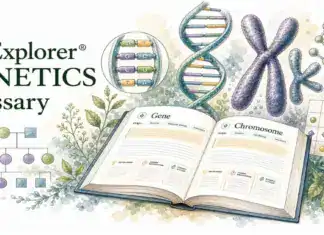 Genetics Glossary