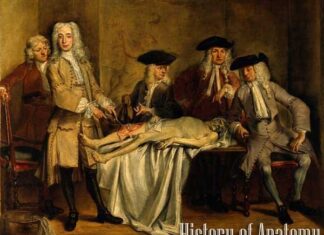 History of Anatomy