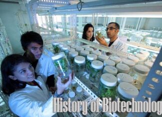 History of Biotechnology