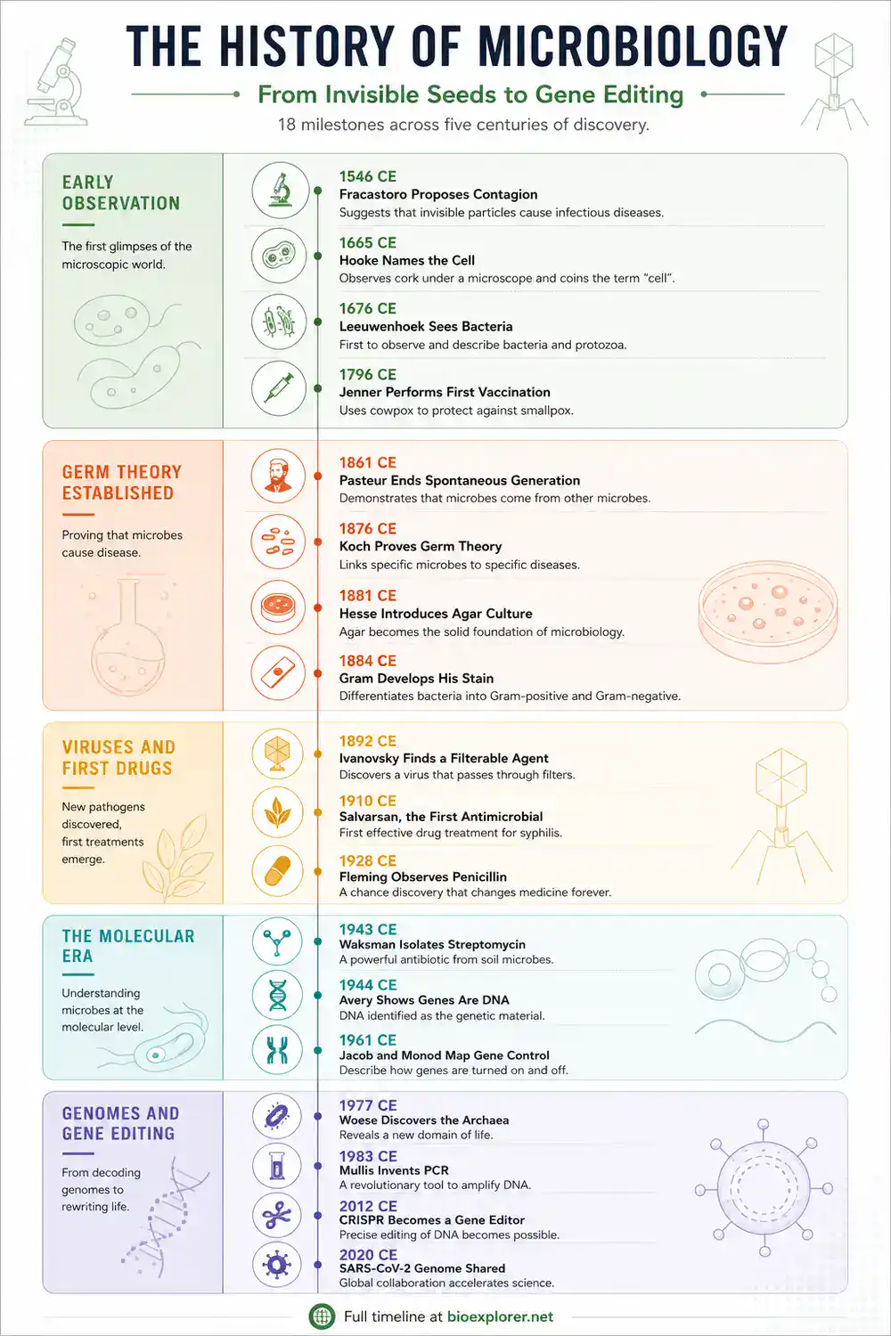 History of microbiology infographic showing 18 major milestones from Fracastoro's contagion theory in 1546 to CRISPR gene editing and the SARS CoV 2 genome in 2020.