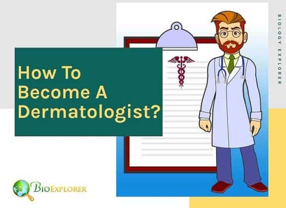 How To Become A Dermatologist? | Educational Qualification | Salary Info