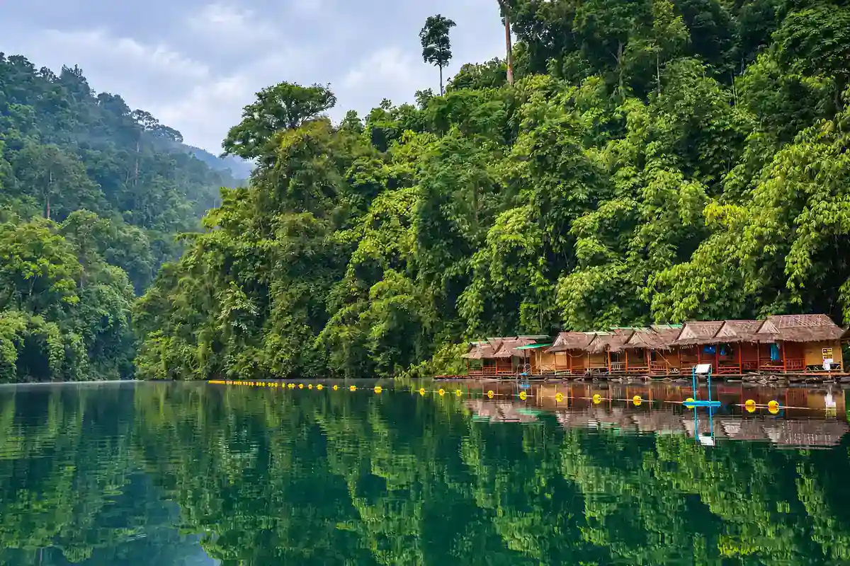 Floating raft houses on a green reservoir below forested limestone hills in Khao Sok National Park, Thailand
