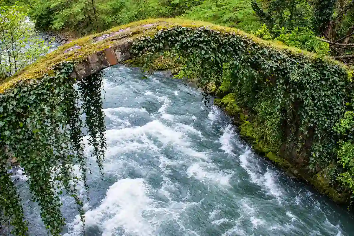 Old stone bridge draped in plants over the rushing Kintrishi River in the forests of western Georgia