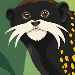 Head of Kulinas' mustached tamarin showing the white hairs around its mouth