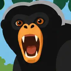 Head of a Likweli showing the pale orange patch around its mouth Head of a Likweli showing the pale orange patch around its mouth