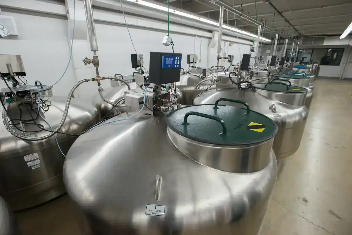 Rows of stainless steel liquid nitrogen tanks storing frozen germplasm at a USDA gene bank vault