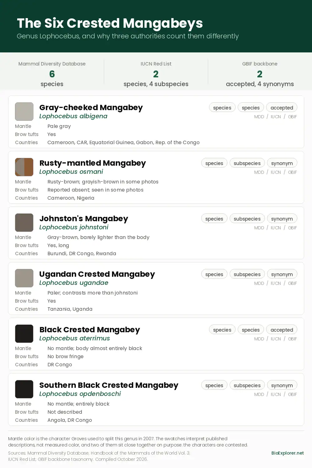 The Six Crested Mangabeys Compared Comparison chart of the six crested mangabey species in the genus Lophocebus, showing mantle color, brow tufts, countries, and how three authorities rank them