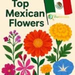 Mexican Flowers with Mexican flag in the background.