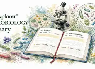 Microbiology Glossary