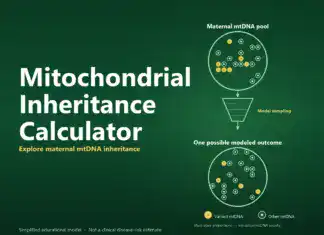 Mitochondrial Inheritance Calculator