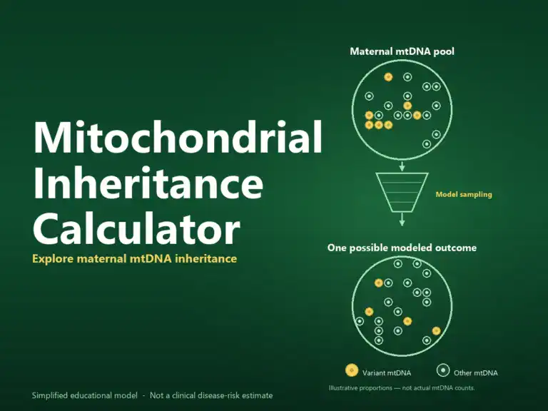 Mitochondrial Inheritance Calculator