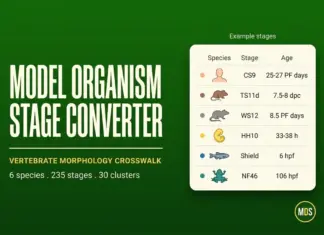 Model Organism Development Stage Converter