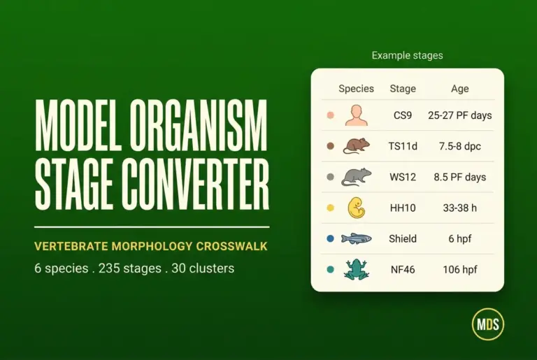 Model Organism Development Stage Converter