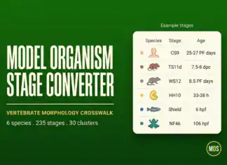 Model Organism Development Stage Converter
