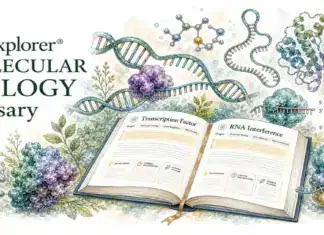Molecular Biology Glossary