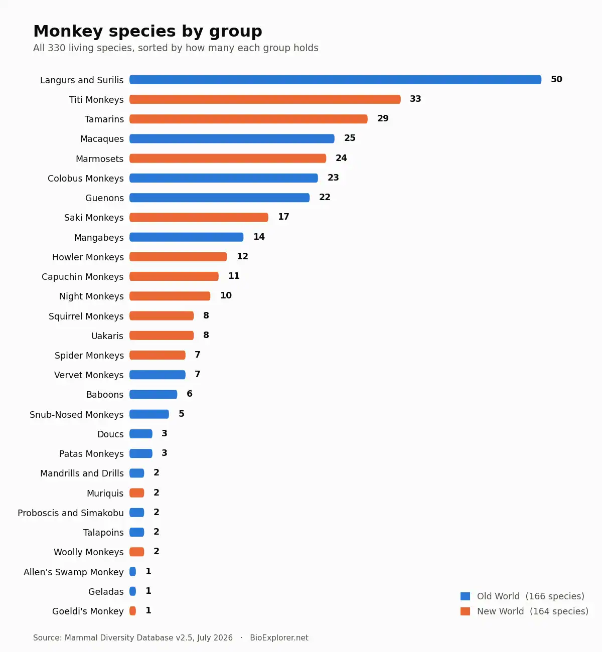 Bar chart of monkey species by group, langurs and surilis highest at 50 species and geladas lowest at one, colored by Old World and New World branch