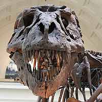 Museums and Exhibits