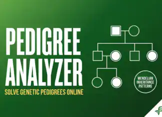 Pedigree Analyzer
