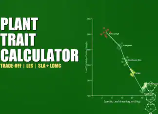 Plant Trait Trade-Off Calculator