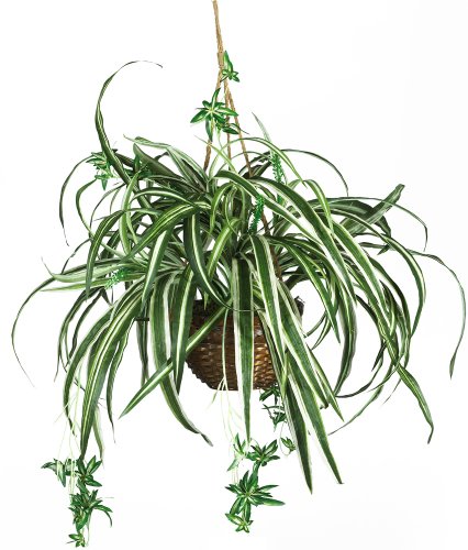 Nearly Natural 6607 Spider Hanging Basket Decorative Silk Plant, Green,10.25