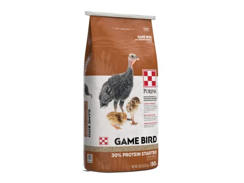 Best Peacocks Food From Purina