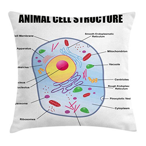 Ambesonne Science Throw Pillow Cushion Cover, Microbiology Theme Animal Cell Structure Genetic Research Study Science, Decorative Square Accent Pillow Case, 18