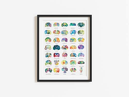 Veterinary Gift - 16