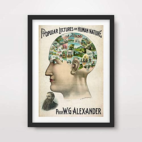 VICTORIAN BRAIN MIND MEDICAL ART PRINT ANATOMICAL ANATOMY MEDICINE HUMAN BODY BIOLOGICAL CHART DIAGRAM ILLUSTRATION VINTAGE ANTIQUE Poster Home Decor Wall Picture A4 A3 A2 (10 Size Options)