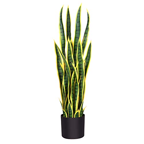 Top 15 Best Hawaiian Flowers